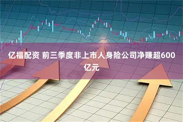 亿福配资 前三季度非上市人身险公司净赚超600亿元