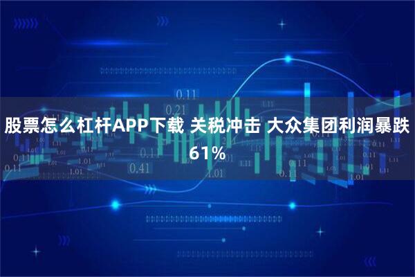 股票怎么杠杆APP下载 关税冲击 大众集团利润暴跌61%