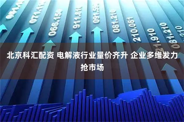 北京科汇配资 电解液行业量价齐升 企业多维发力抢市场